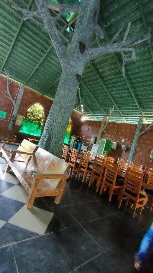 Dandeli Jungle Resort Esterno foto