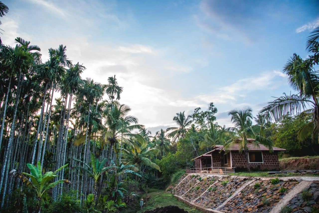 Dandeli Jungle Resort Esterno foto