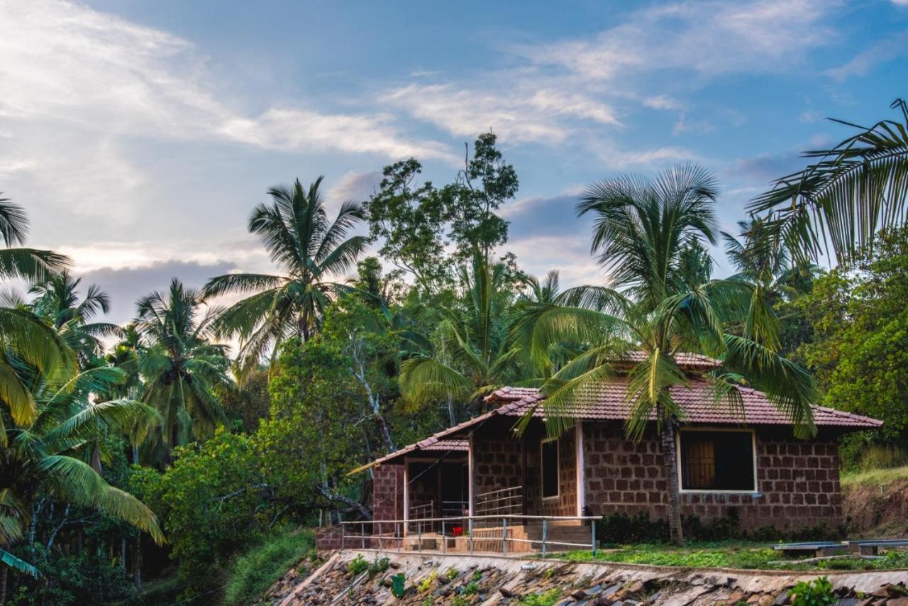 Dandeli Jungle Resort Esterno foto