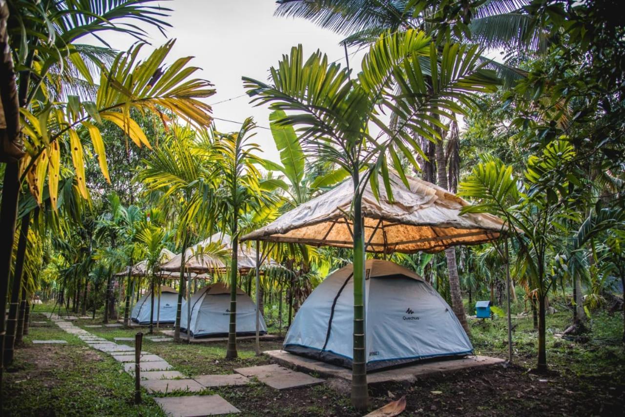 Dandeli Jungle Resort Camera foto